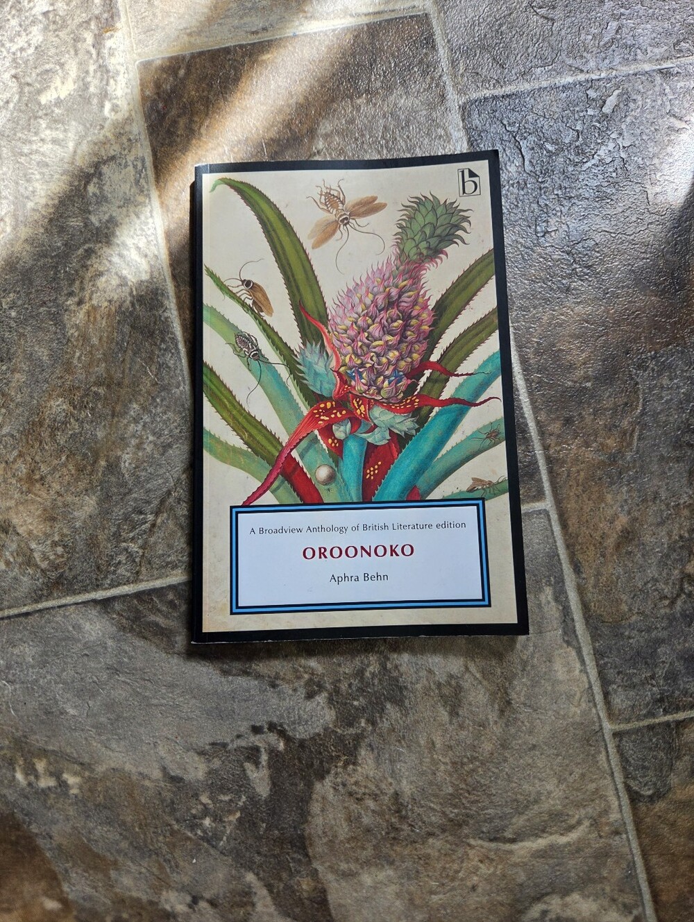 Broadview Oroonoko by Aphra Behn — Colorful Botanical Cover (White)